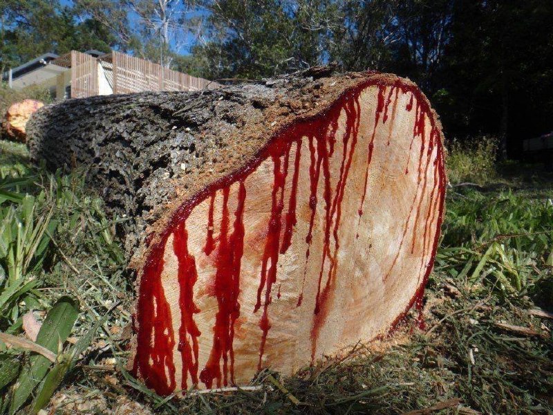 #blood￼￼