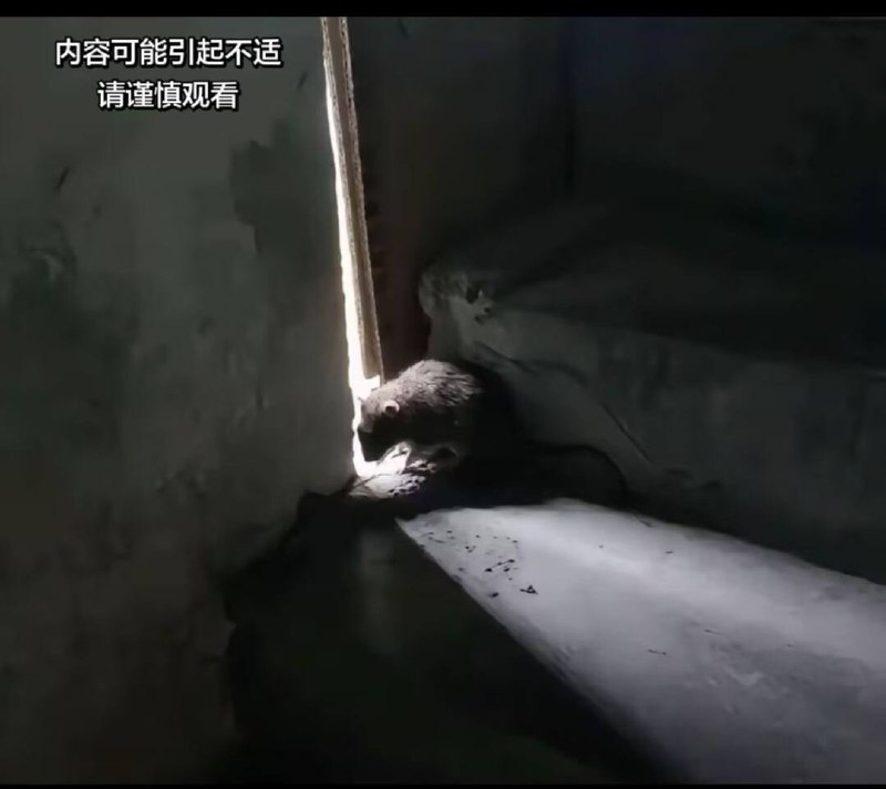 这就是外面的世界吗，好温暖...好幸福....#阴暗 #阴暗面