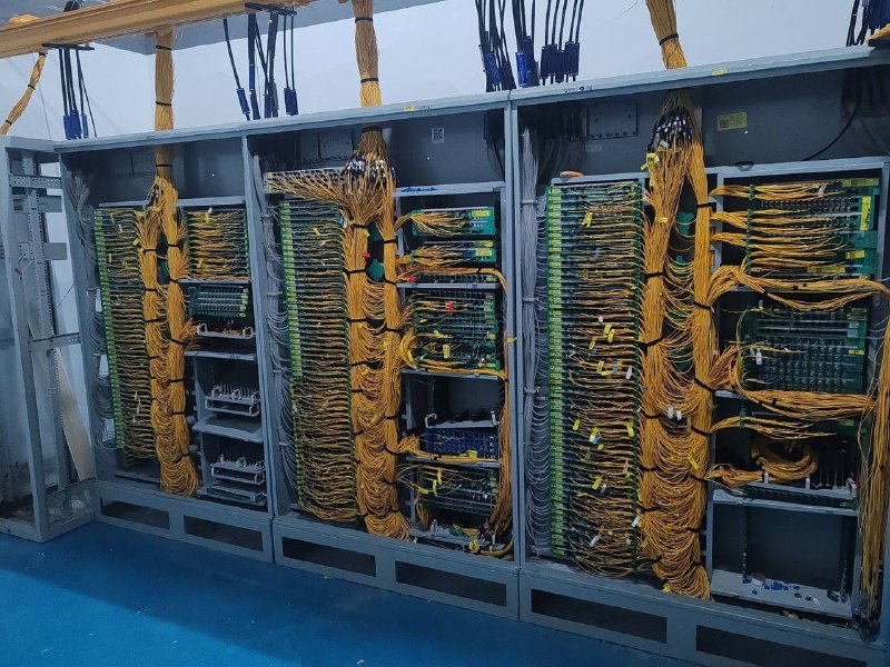 斯是仙人也斯是仙人也