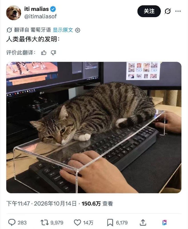 应该是质量不好
