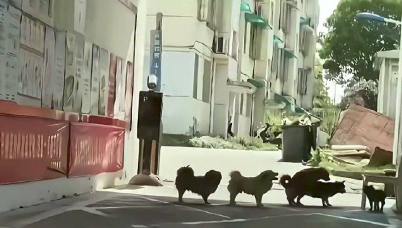 排着队拿着爱的号码牌