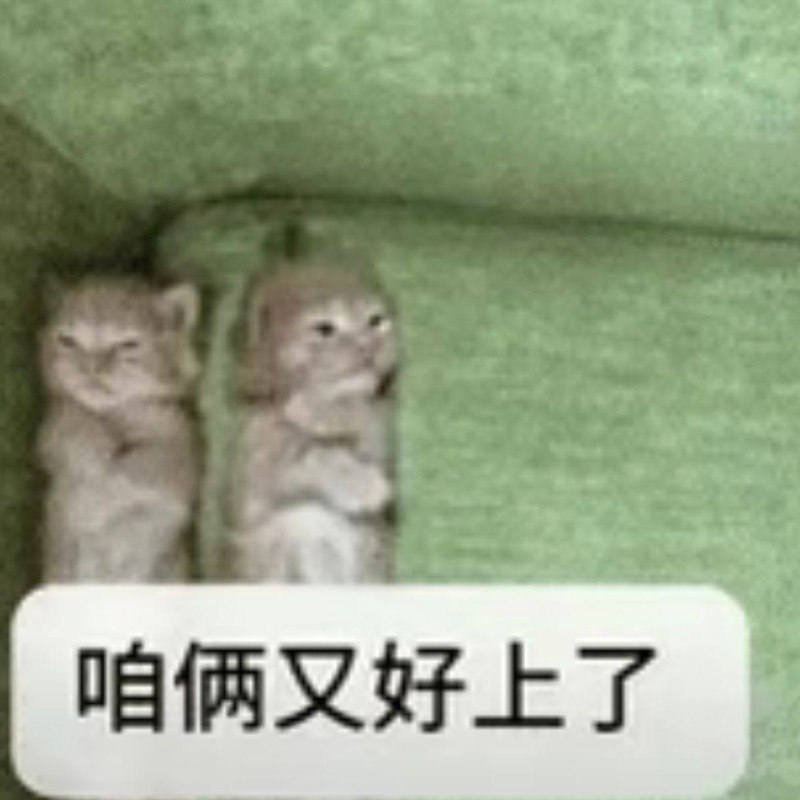 都没人和我好都没人和我好