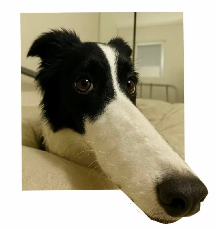 #头像 #分享#头像 #分享