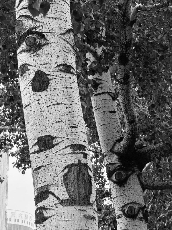 人类割掉我的手臂，让我长出仇恨的眼睛