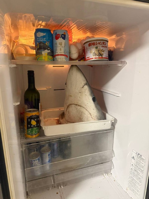 鲨鱼这波不该忧郁的