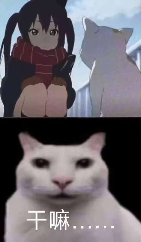 干