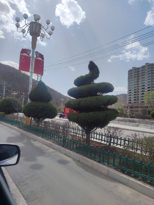 园艺师是个人物