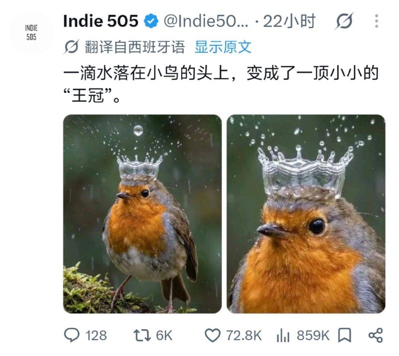 “一瞬间的国王”
