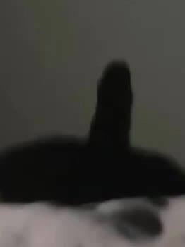 看的人心黄黄的看的人心黄黄的