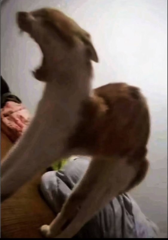 神的苏醒￼￼