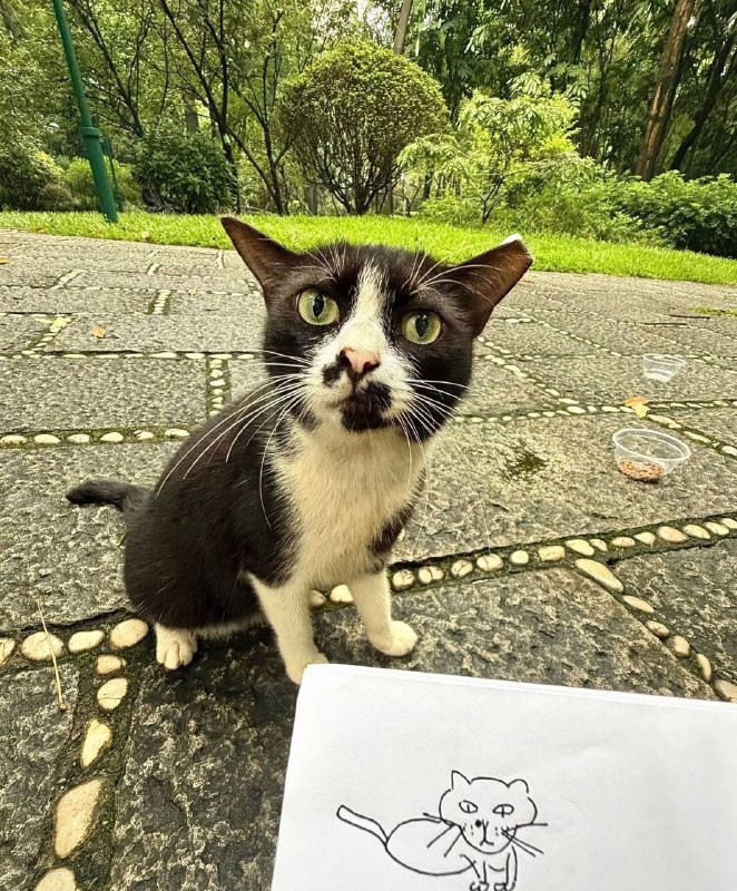 丑术生丑术生