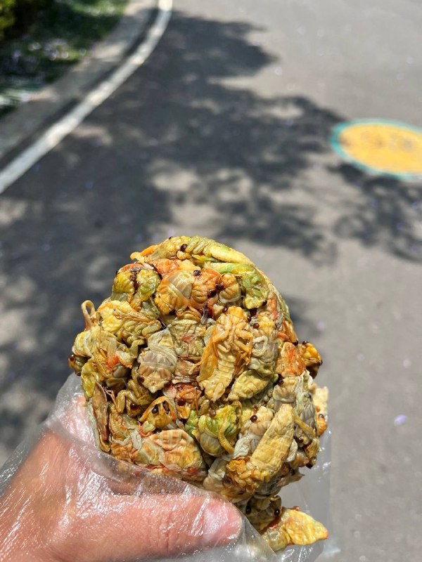 虫饼虫饼