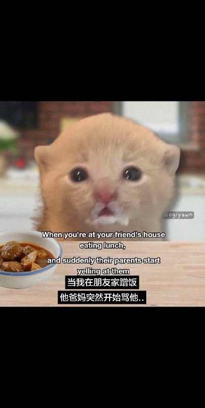 不敢吱声