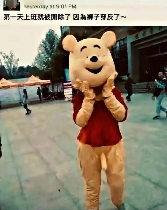 包浆老图 维尼熊人偶服