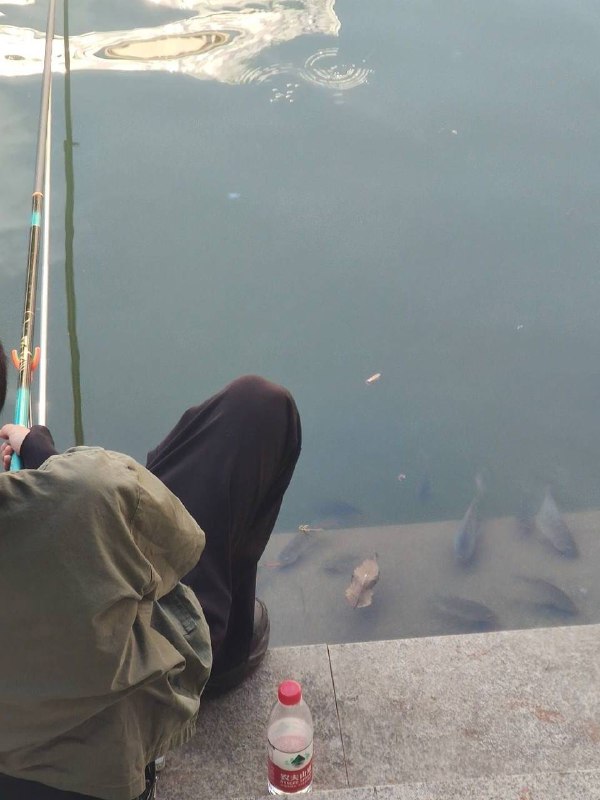 钓鱼佬要燃尽了