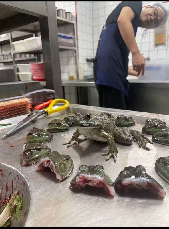 你把生命当成了什么…