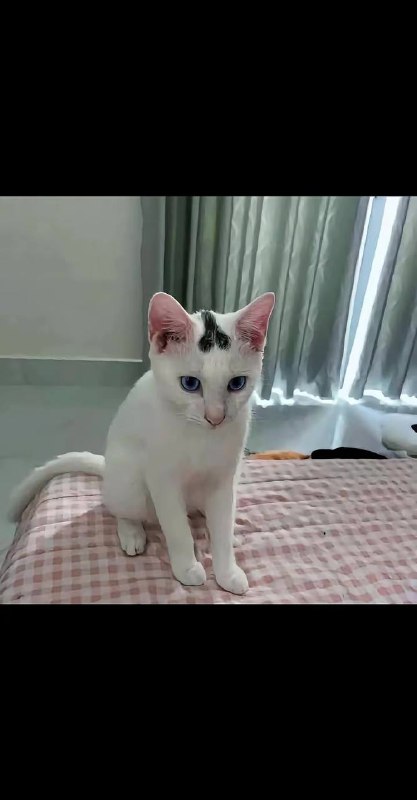 了吧急成看 #咪咪了吧急成看 #咪咪