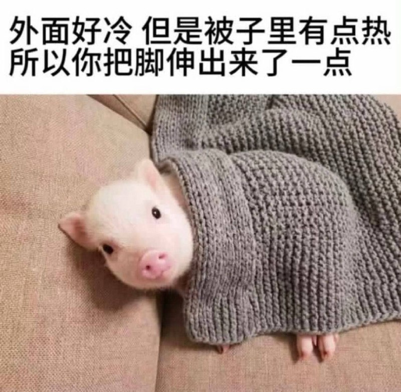 不可以伸脚 有鬼会抓