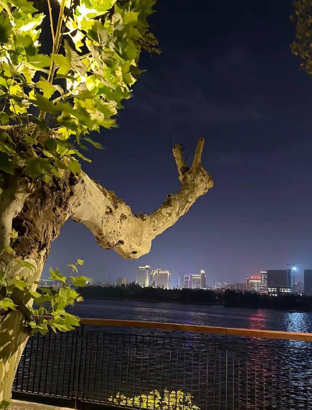 来给生活比个✌️