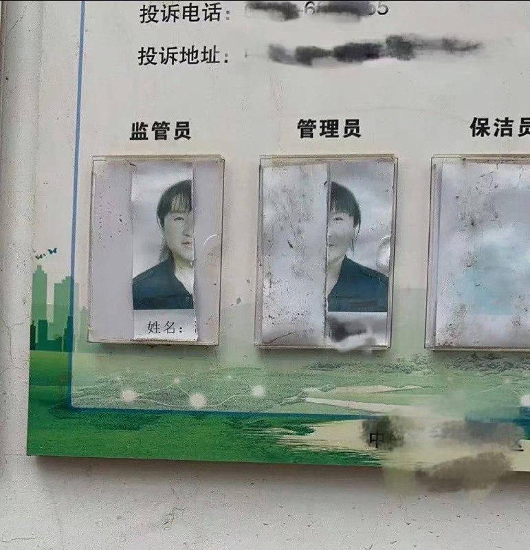 分头行动