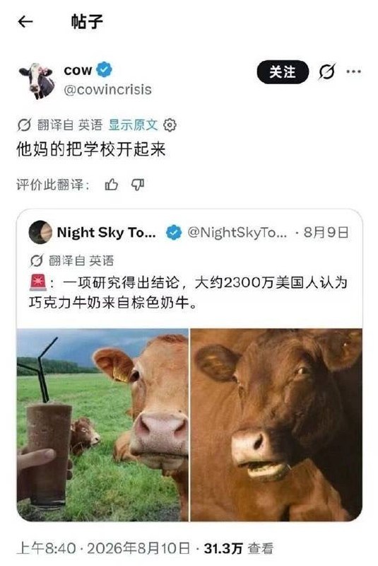 牛来看多了吧