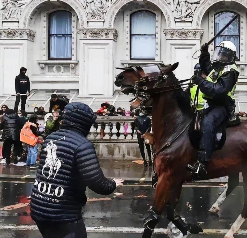 拉夫劳伦这一块/.￼￼