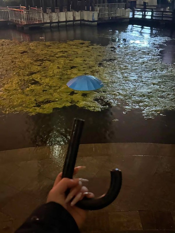 你快回来