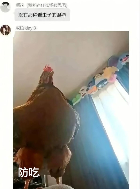 看下鸡脚