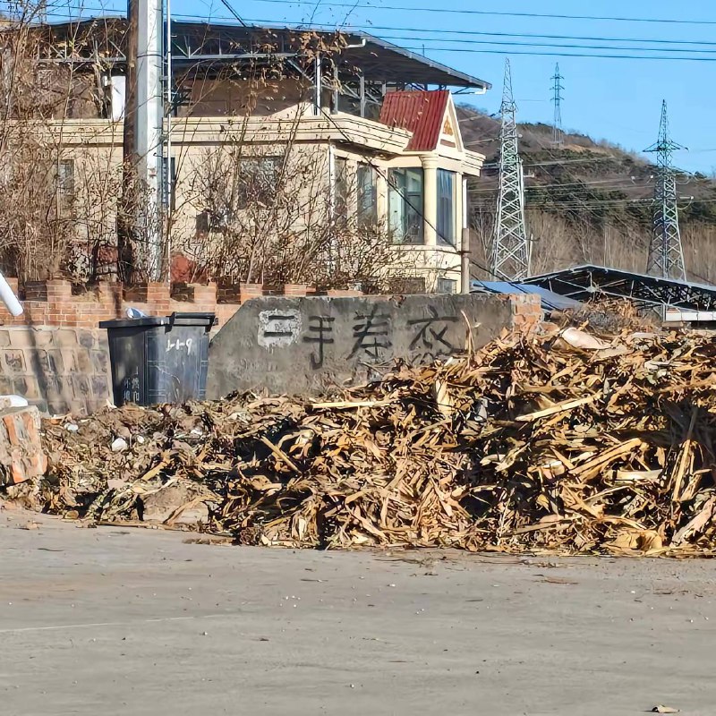 穿上自动获取魂环