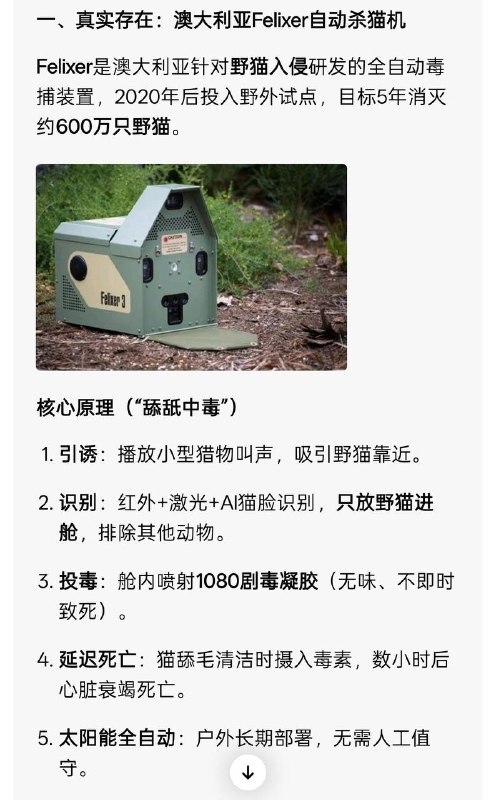 爱猫人士怎么办