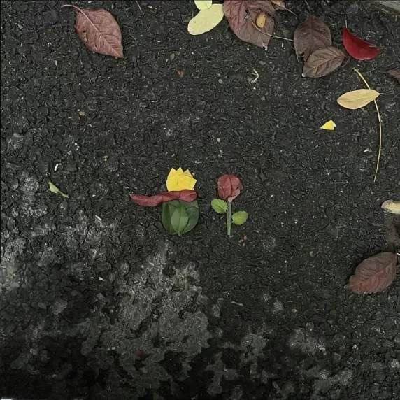 小王子