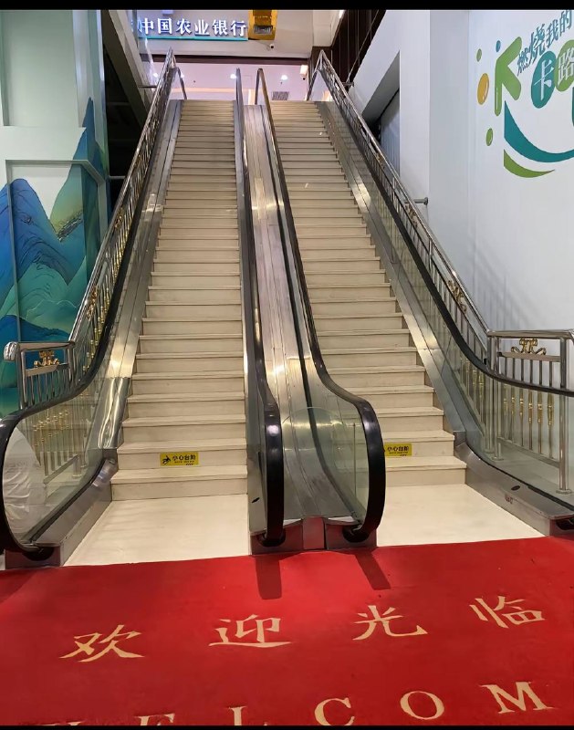 刚开始还没反应过来