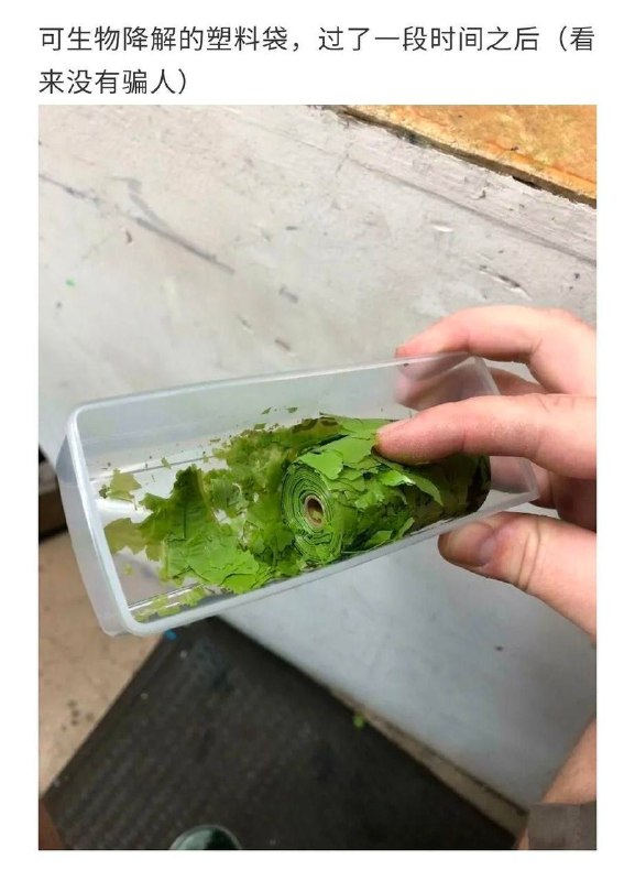时间的力量时间的力量