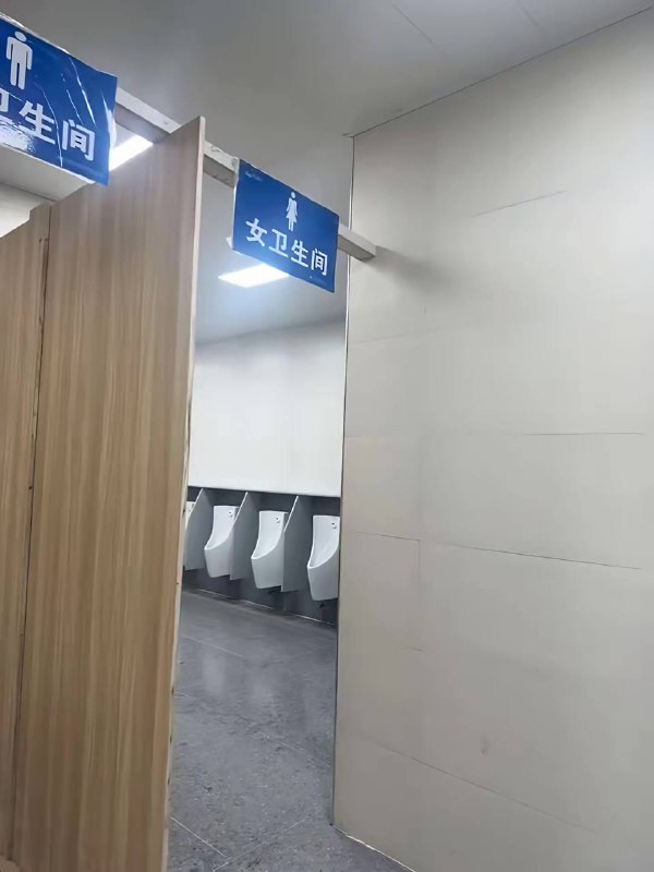 小女子生根发芽中....