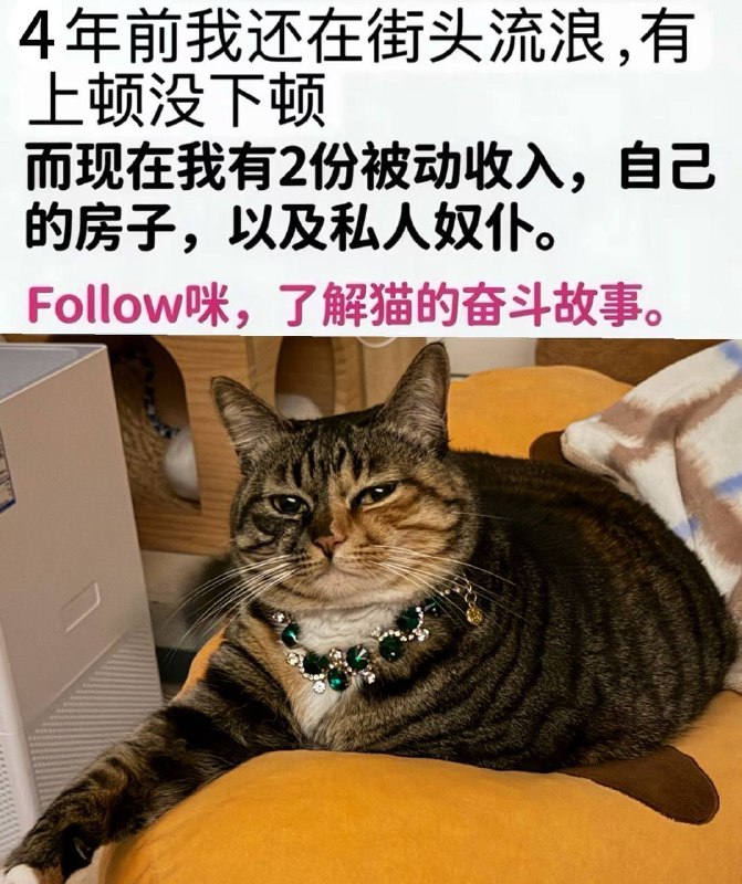 let’s 显化