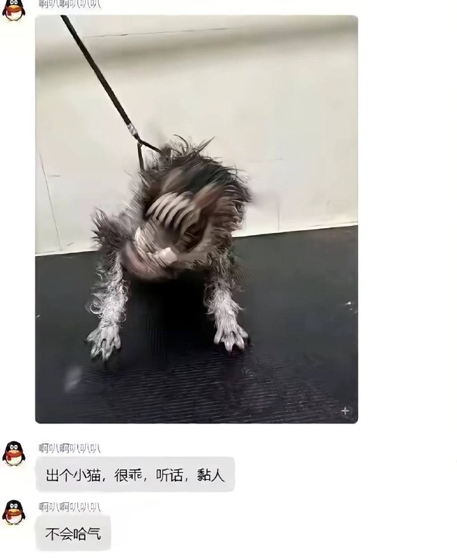 说的没错 咬着不放还不粘人吗