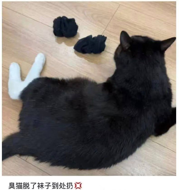 黑皮白袜 体育生