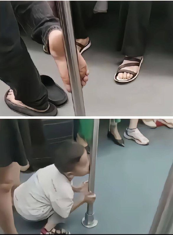 这叫觅食，宝贝