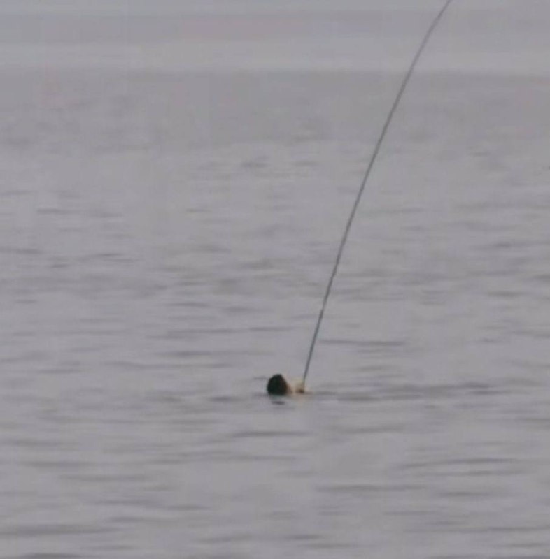 骨灰级钓鱼人骨灰级钓鱼人