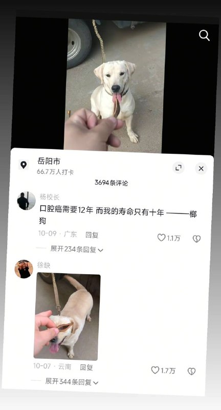 无法选中