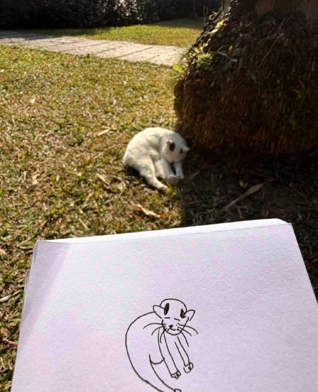 丑术生丑术生