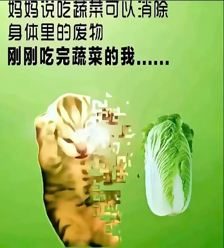 所以……￼￼