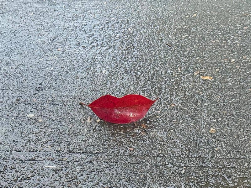 自然的红唇