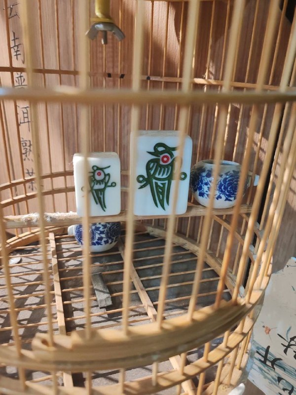 看上去很好养活的样子