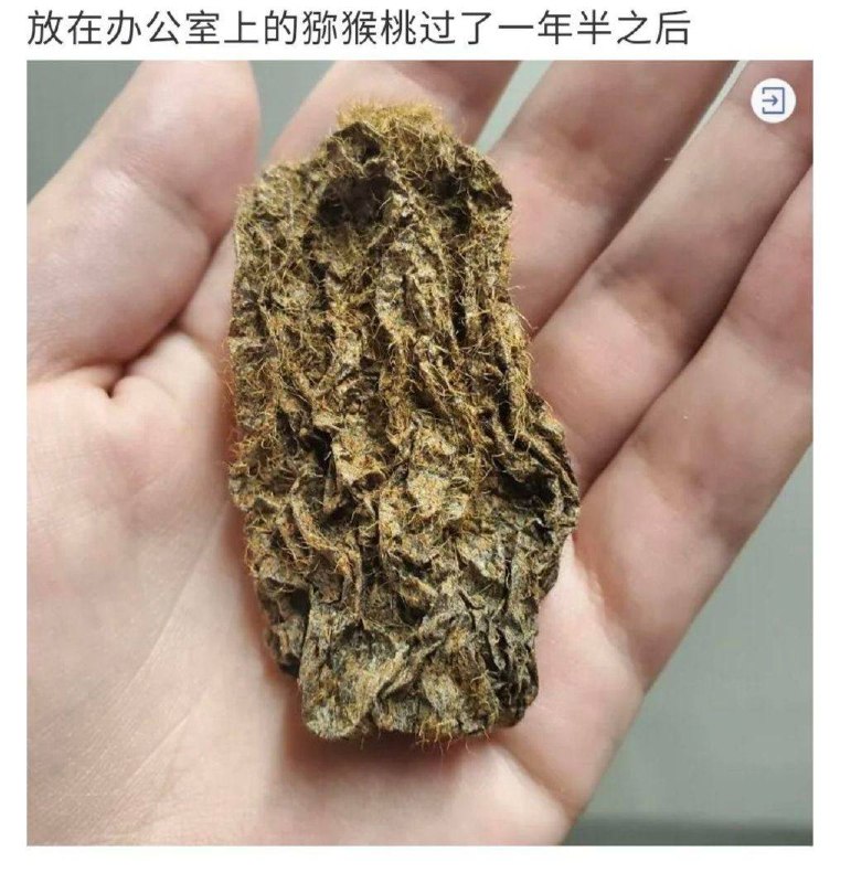 时间的力量时间的力量