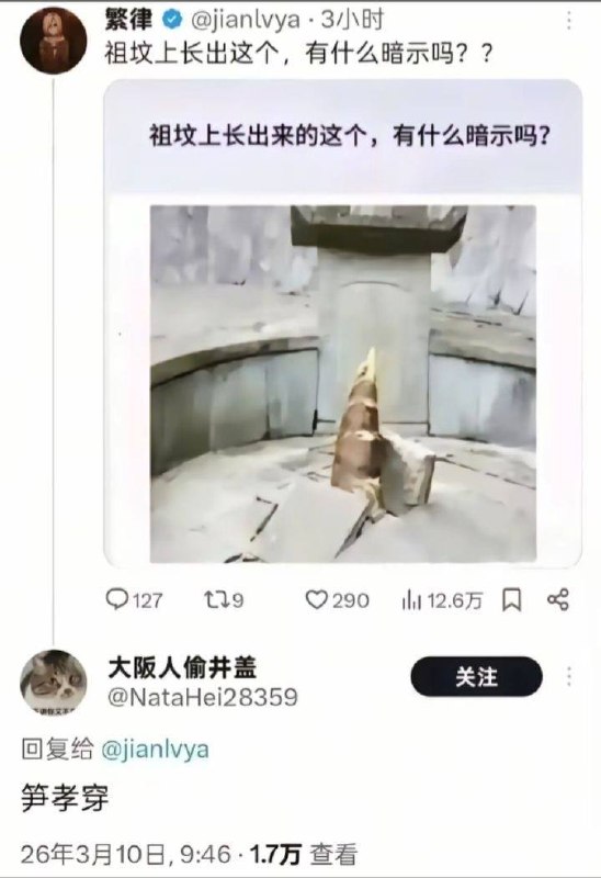 根将要介入大地的石头里