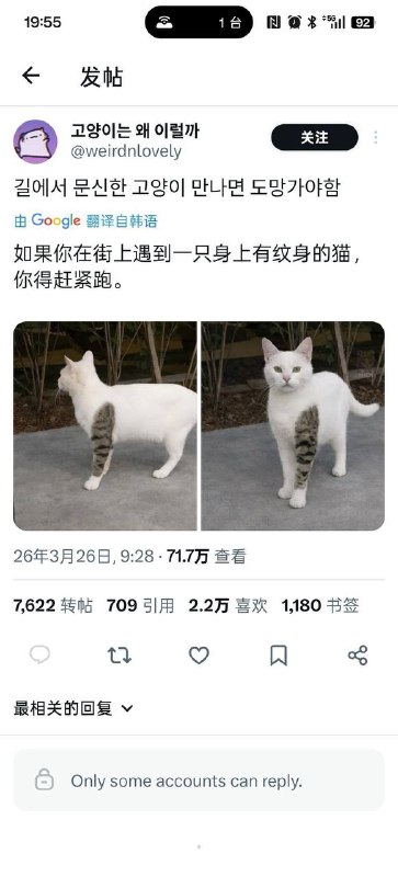 花臂哈基米花臂哈基米