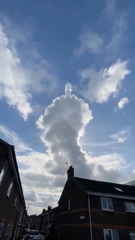 生活向你比了个中指