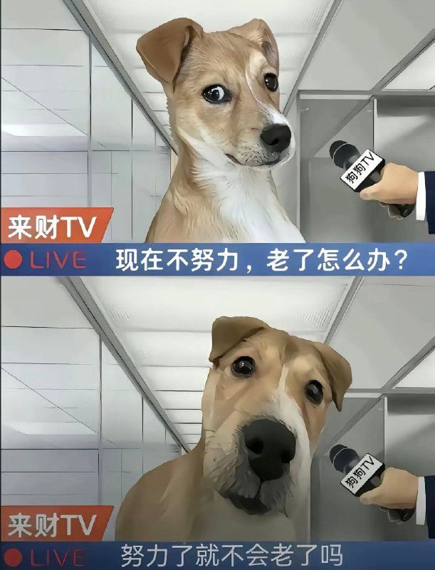 老了就死呗
