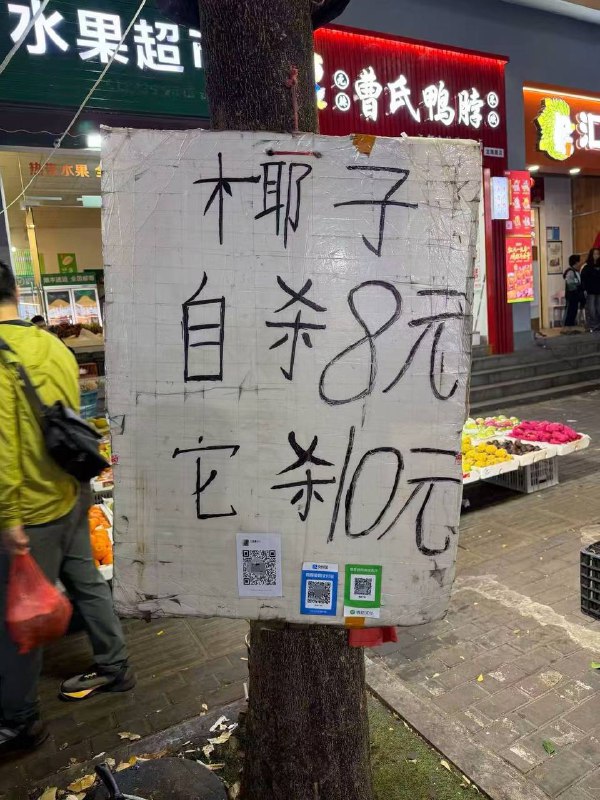 《这个杀手不太贵》